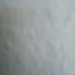 Meet your Posher, Julio