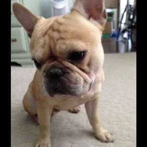 Meet your Posher, Patti