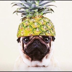 Meet your Posher, Annah