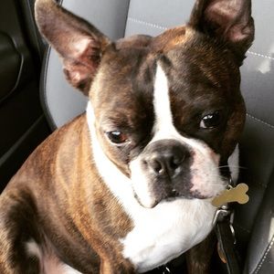 Meet your Posher, Tia