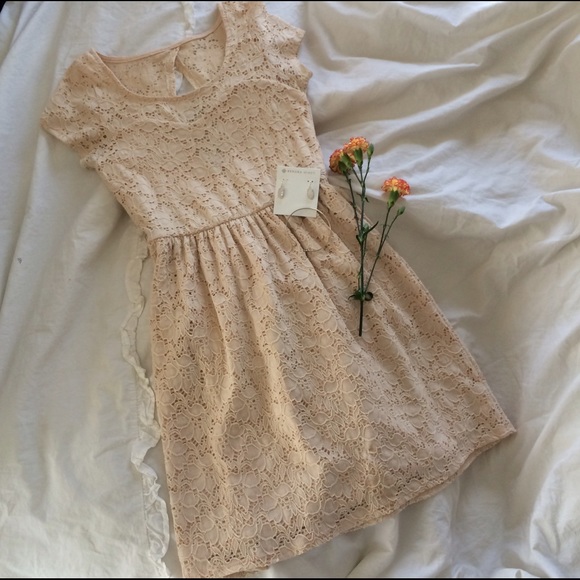 Creamy Lace Spring/Summer Dress 💐