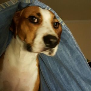 Meet your Posher, Deena