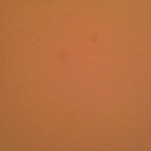 Meet your Posher, Herminia