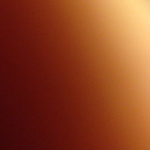 Meet your Posher, Jessie