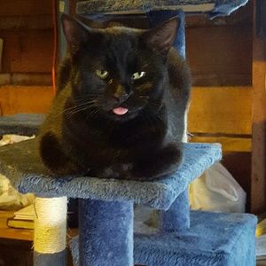 Meet your Posher, Edith