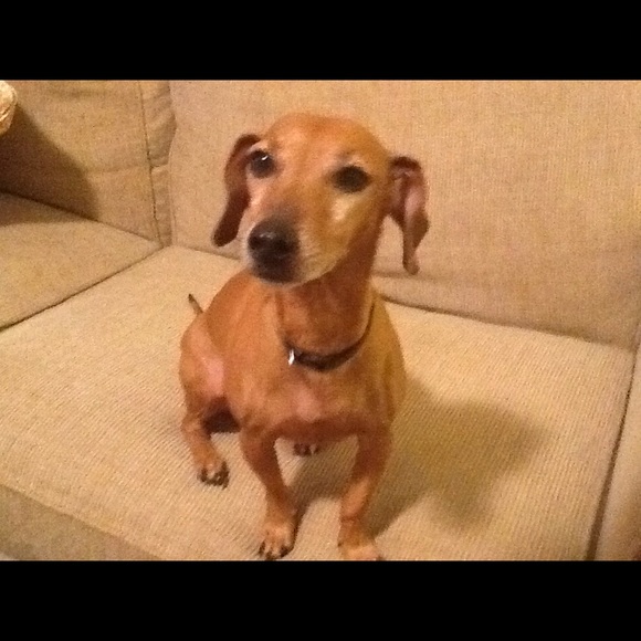 Meet your Posher, Gina