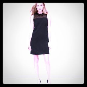 LOFT dot yoke collared dress