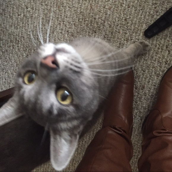 Meet your Posher, Marl