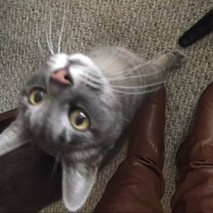 Meet your Posher, Marl