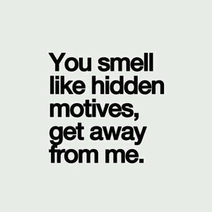 Meet your Posher, Katrina