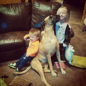 Meet your Posher, Erin