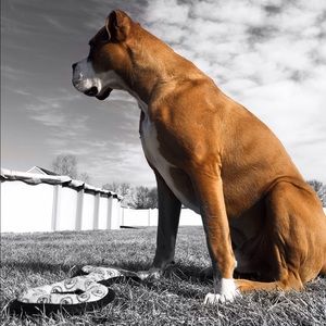 Meet your Posher, Brian