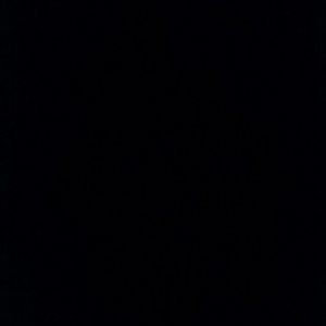 Meet your Posher, Diego