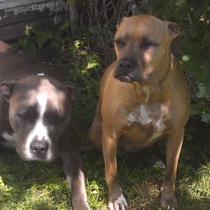 Meet your Posher, Jeanine