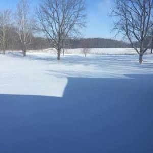 Meet your Posher, Judy