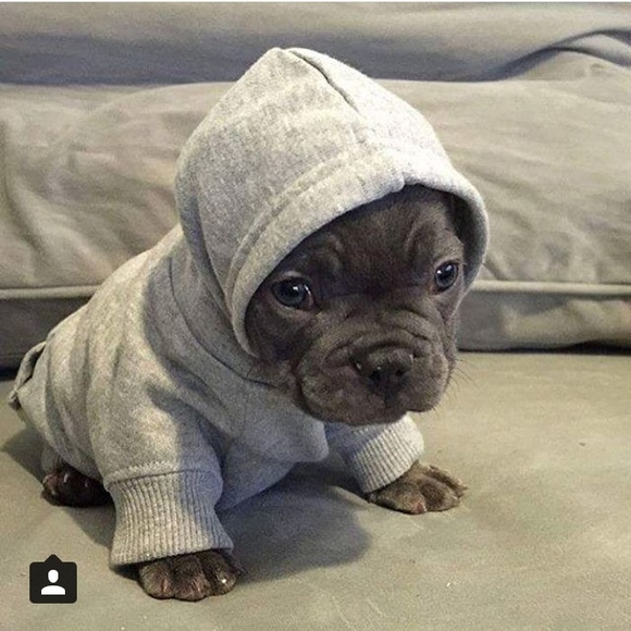 Meet your Posher, Chey - Picture 1 of 1