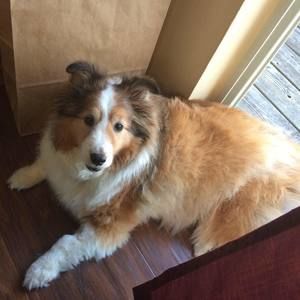 Meet your Posher, Wendy