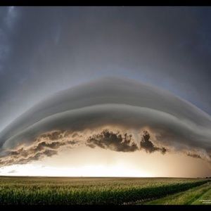 Meet your Posher, Ann