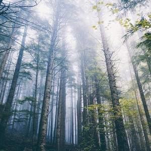 Meet your Posher, Eva