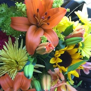 Meet your Posher, Janet