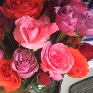 Meet your Posher, Lynda