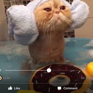 Meet your Posher, Melody