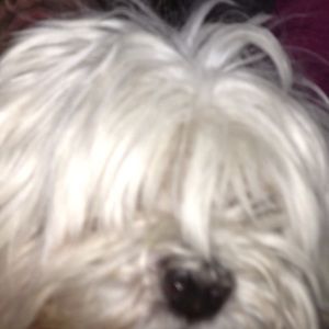 Meet your Posher, Arianna