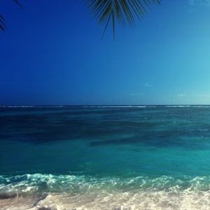 Meet your Posher, Ava