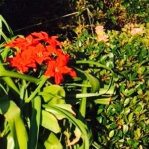 Meet your Posher, Duc