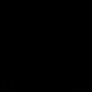 Meet your Posher, Destiny