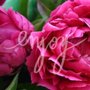 ❤️blazer for tsh1210