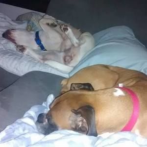 Meet your Posher, Annette