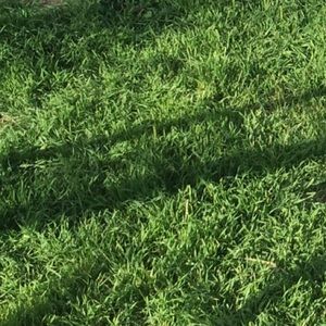 Meet your Posher, Alina