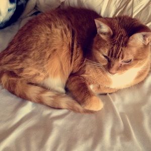 Meet your Posher, Cassandra