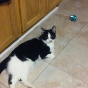 Meet your Posher, Tonya