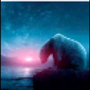 Meet your Posher, Tanitia