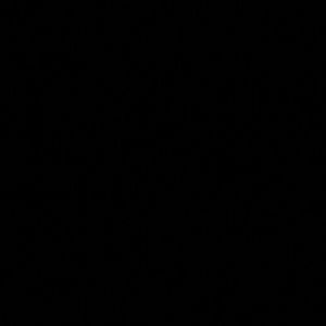 Meet your Posher, Zoe