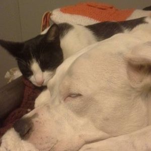 Meet your Posher, Marla