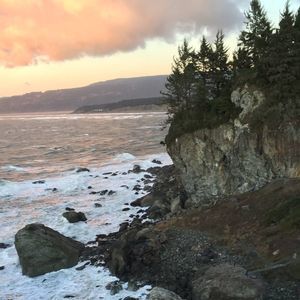 Meet your Posher, Jacqueline