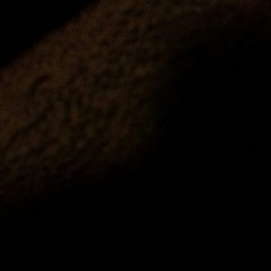 Meet your Posher, Daphne