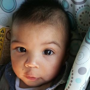 Meet your Posher, Oscar