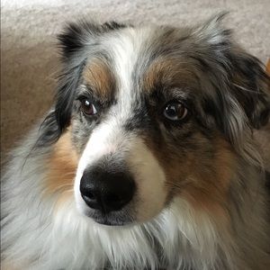 Meet your Posher, Robin