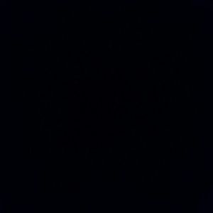 Meet your Posher, Alejandro