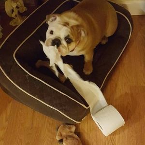 Meet your Posher, Becky