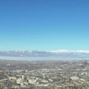 Meet your Posher, Lily