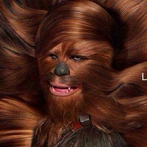 Meet your Posher, Jenny