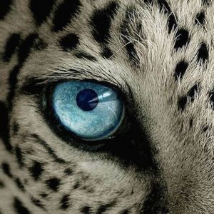 Meet your Posher, Lizzie