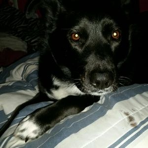 Meet your Posher, Leah