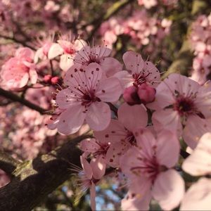 Meet your Posher, Lucy