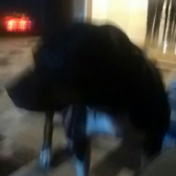 Meet your Posher, Cory